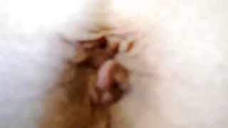 Podekscytowany prasowaniem sex starszych bielizny i szarpnięciami kaptura.