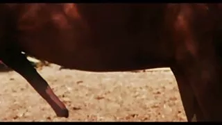 Rosyjska starsze panie erotyka Cipka w spermie.