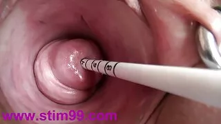 Sataniści nakazali sexstarsze człowiekowi dać ziarno.